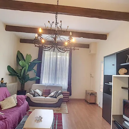 F2 Avec Terrasse Pres Du Centre Et Des Thermes, Animaux Acceptes, Options De Services Disponibles - Fr-1-451-31 Apartment *
