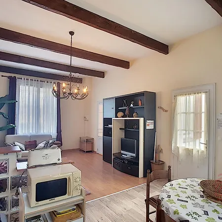 F2 Avec Terrasse Près Du Centre Et Des Thermes, Animaux Acceptés, Options De Services Disponibles - Fr-1-451-31 * Lamalou-les-Bains