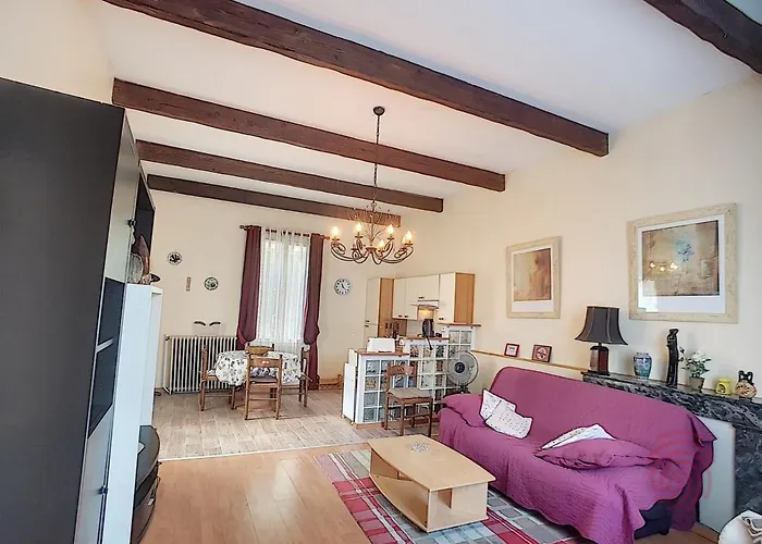 Διαμέρισμα F2 Avec Terrasse Pres Du Centre Et Des Thermes, Animaux Acceptes, Options De Services Disponibles - Fr-1-451-31