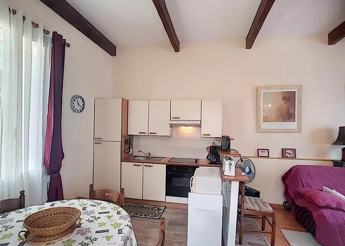 Διαμέρισμα F2 Avec Terrasse Pres Du Centre Et Des Thermes, Animaux Acceptes, Options De Services Disponibles - Fr-1-451-31 *